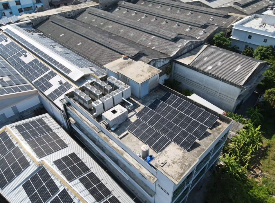 1EBD7AC0-5B88-45A8-9A29-0C65B1618998